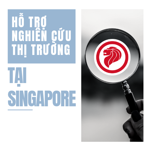 ho-tro-nghien-cuu-thi-truong-singapore