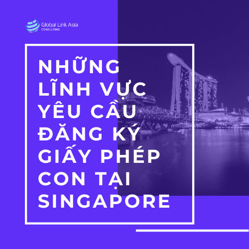 linh-vuc-can-dang-ky-giay-phep-con-tai-singapore